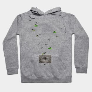 Ants go home Hoodie